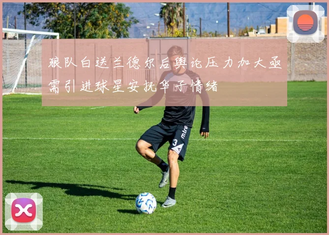 狼队白送兰德尔后舆论压力加大亟需引进球星安抚华子情绪